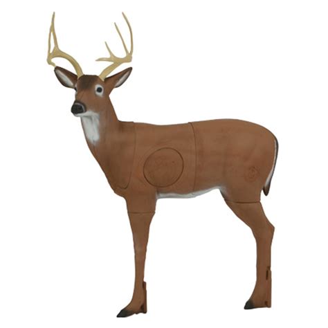 best deer target for archery.